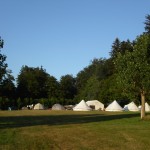 Waldwiesen