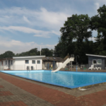 paradies grüner jäger