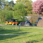 paradies grüner jäger