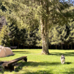 Oberprether Mühle